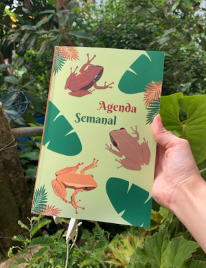 (Aboricué) Agenda Semanal "Coquíes de Puerto Rico"