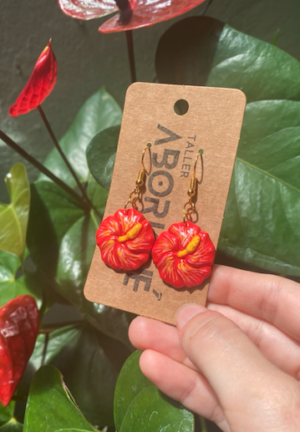 Pantallas "Flor de Maga" de Puerto Rico