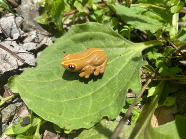 Imán para nevera - miniatura del "Coquí Churrí"