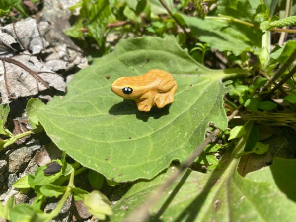 Imán para nevera - miniatura del "Coquí de la Montaña"